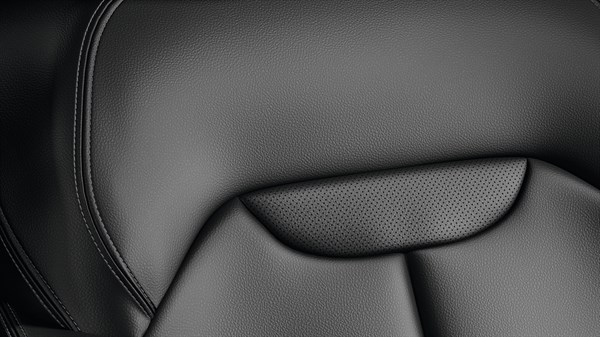 Renault KADJAR - Sellerie grise cuir